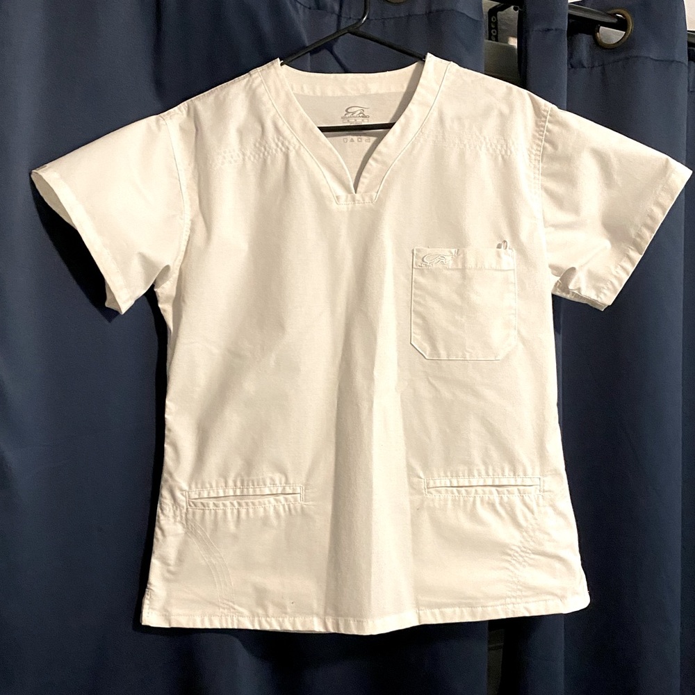 Iguana scrub top
